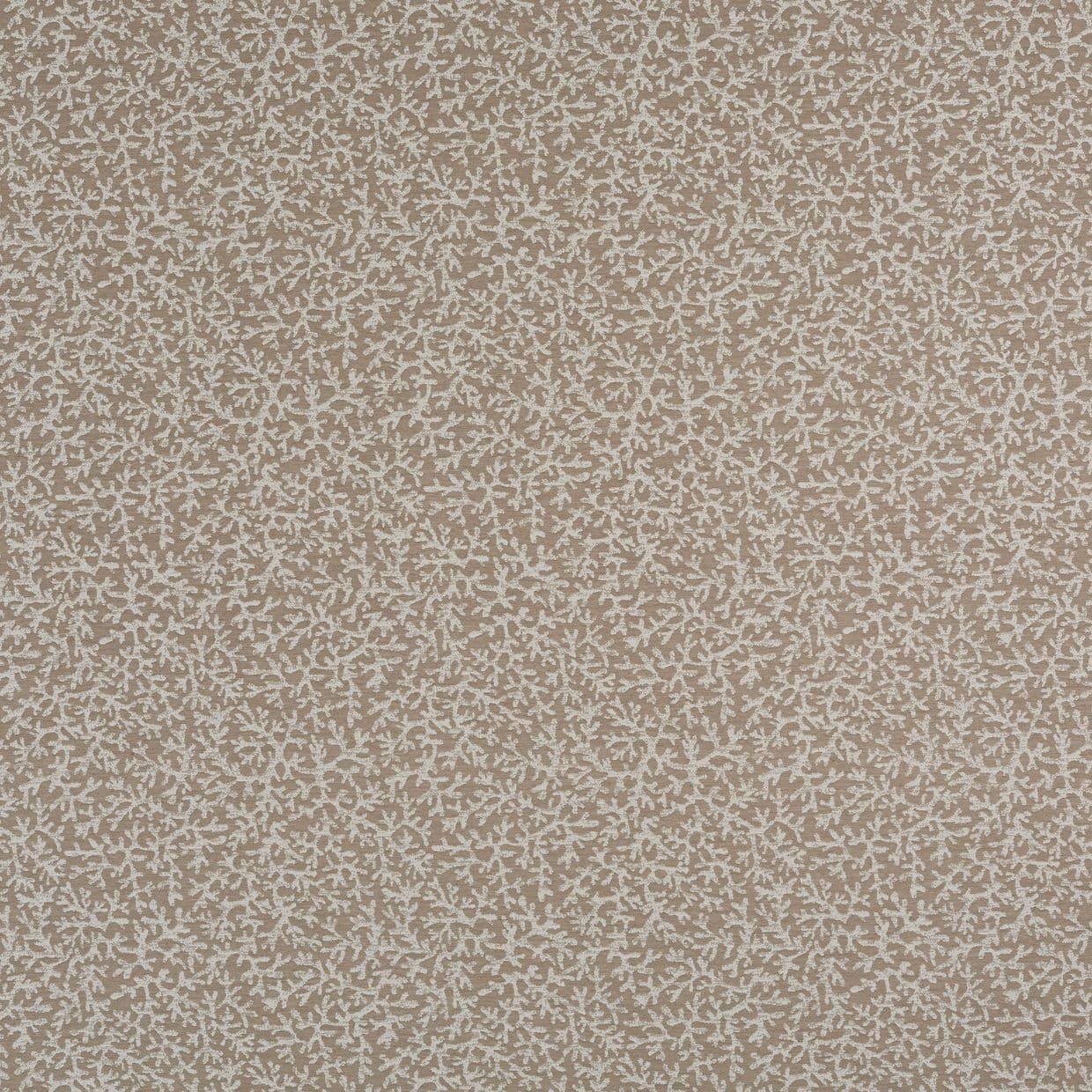 Coral Oyster Curtain