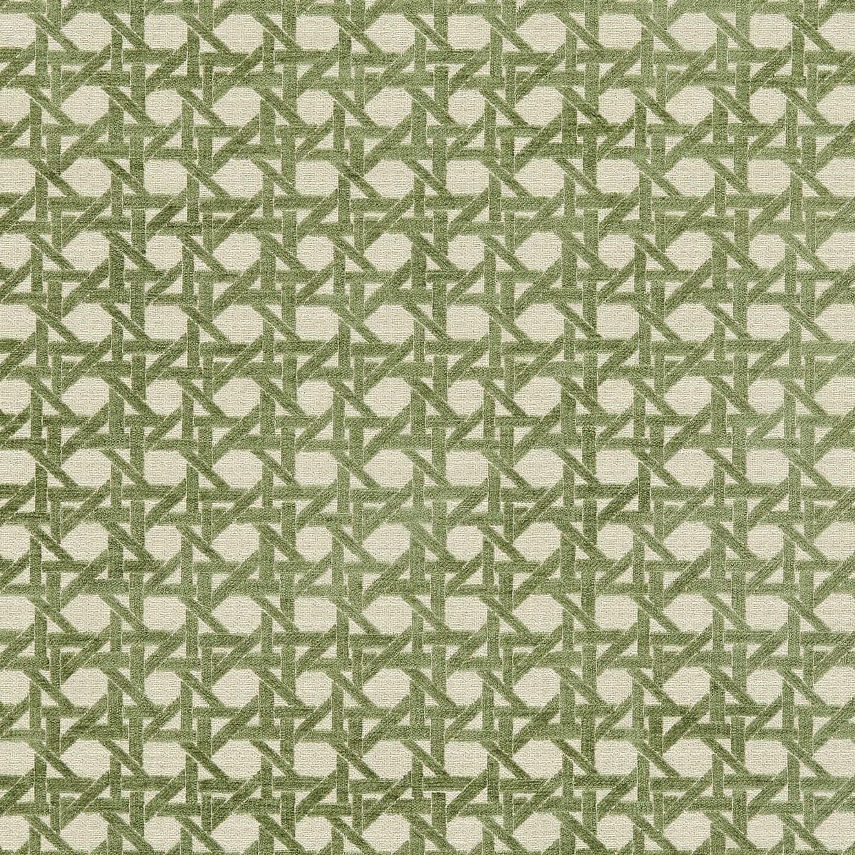 Wyndhams Rattan Pistachio Curtain