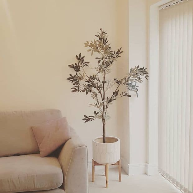Hexham Ivory Vertical Blind