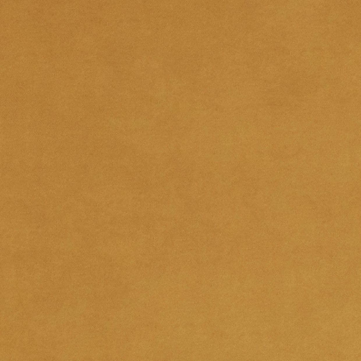 Darcia Velvet Aurum Curtain