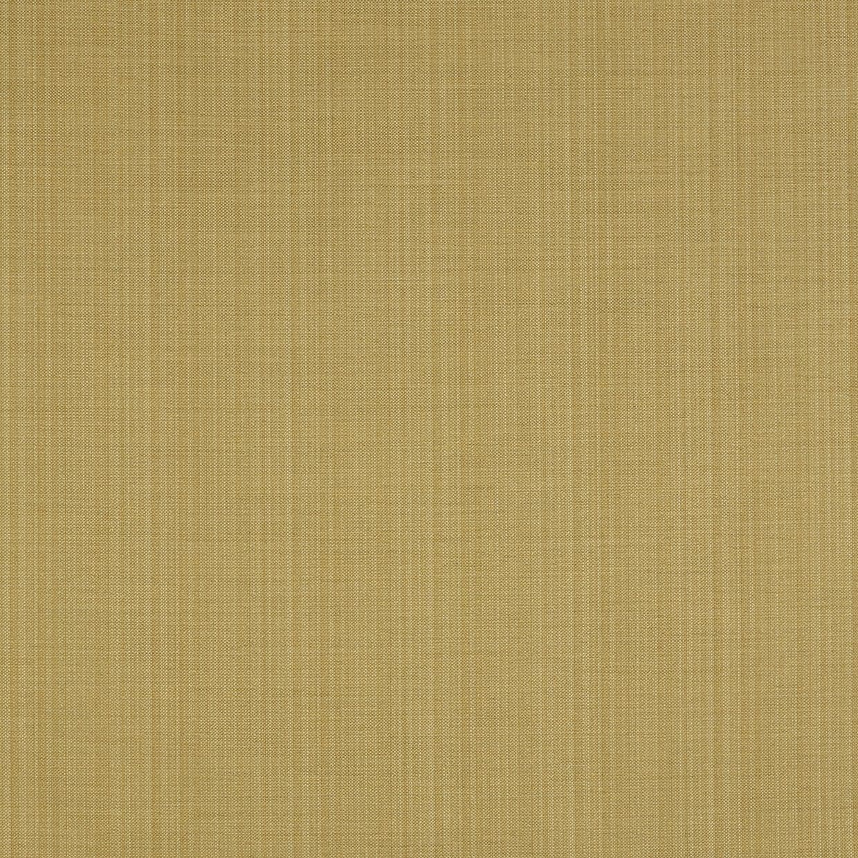 Clarence Chartreuse Curtain