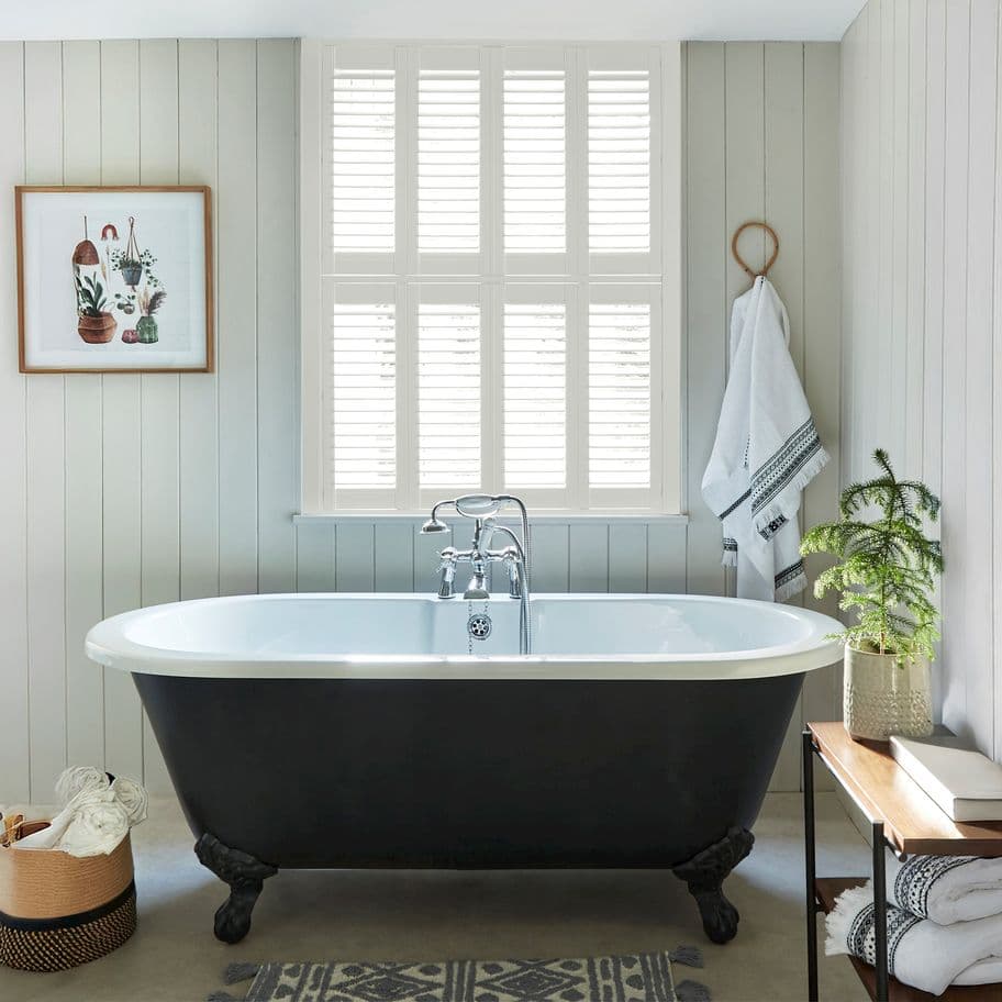 Ivory Shutter
