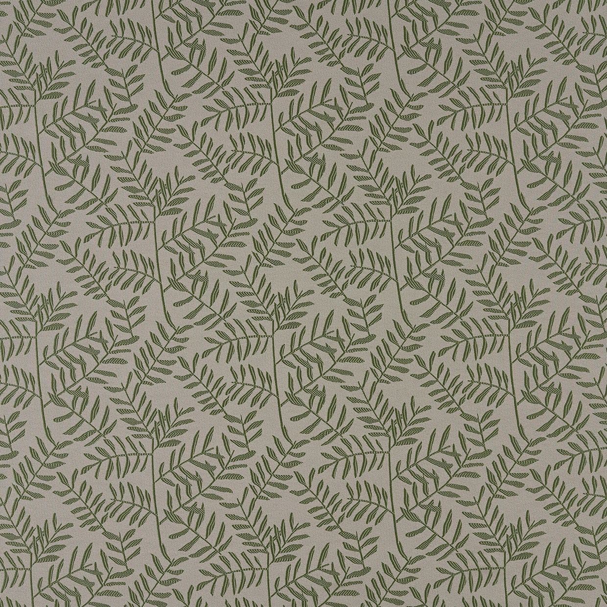 Fronds Fir Curtain
