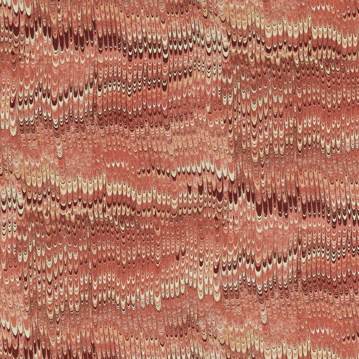 1970 Rosa Curtain