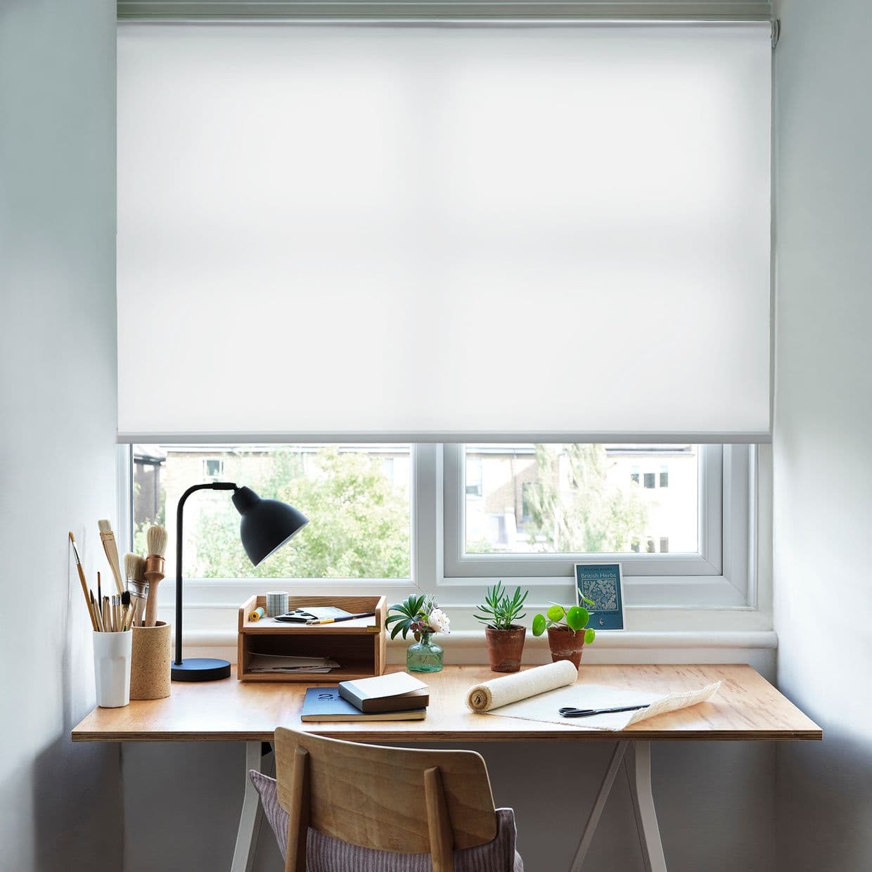 Acacia White Roller Blind