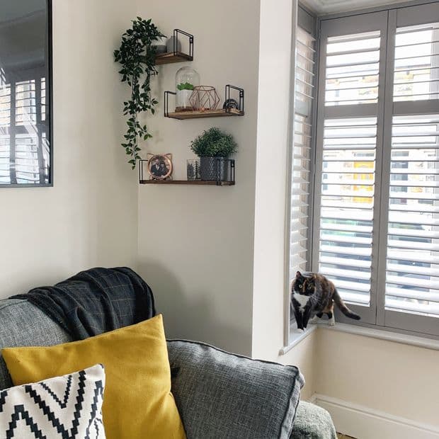 Storm Grey Shutter