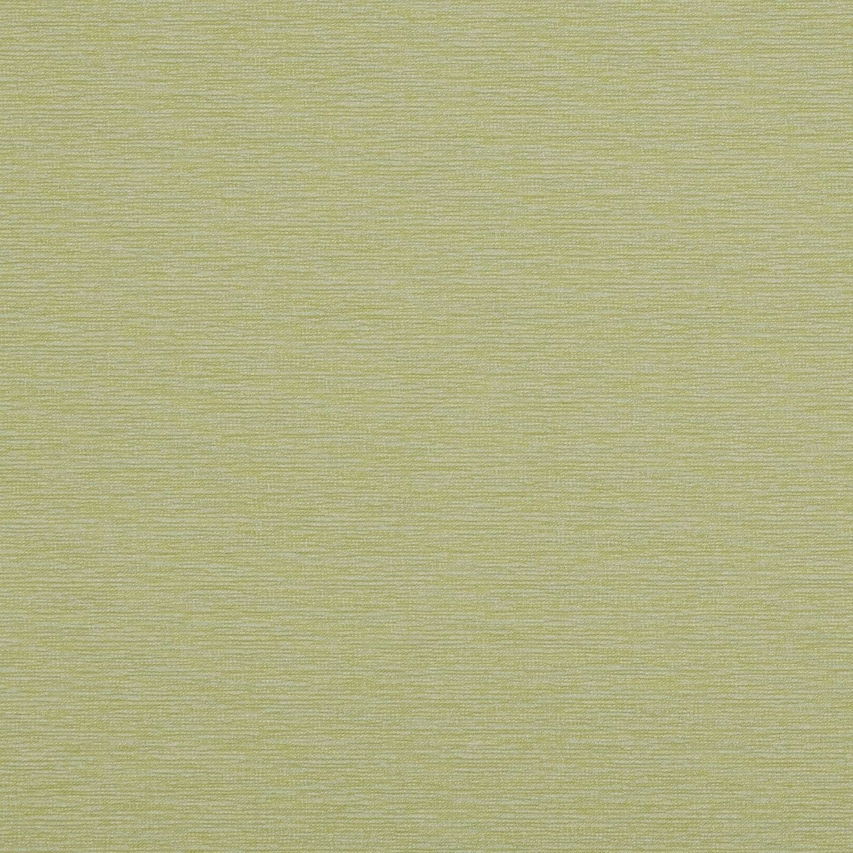Conscious Lime Conservatory Roller blind