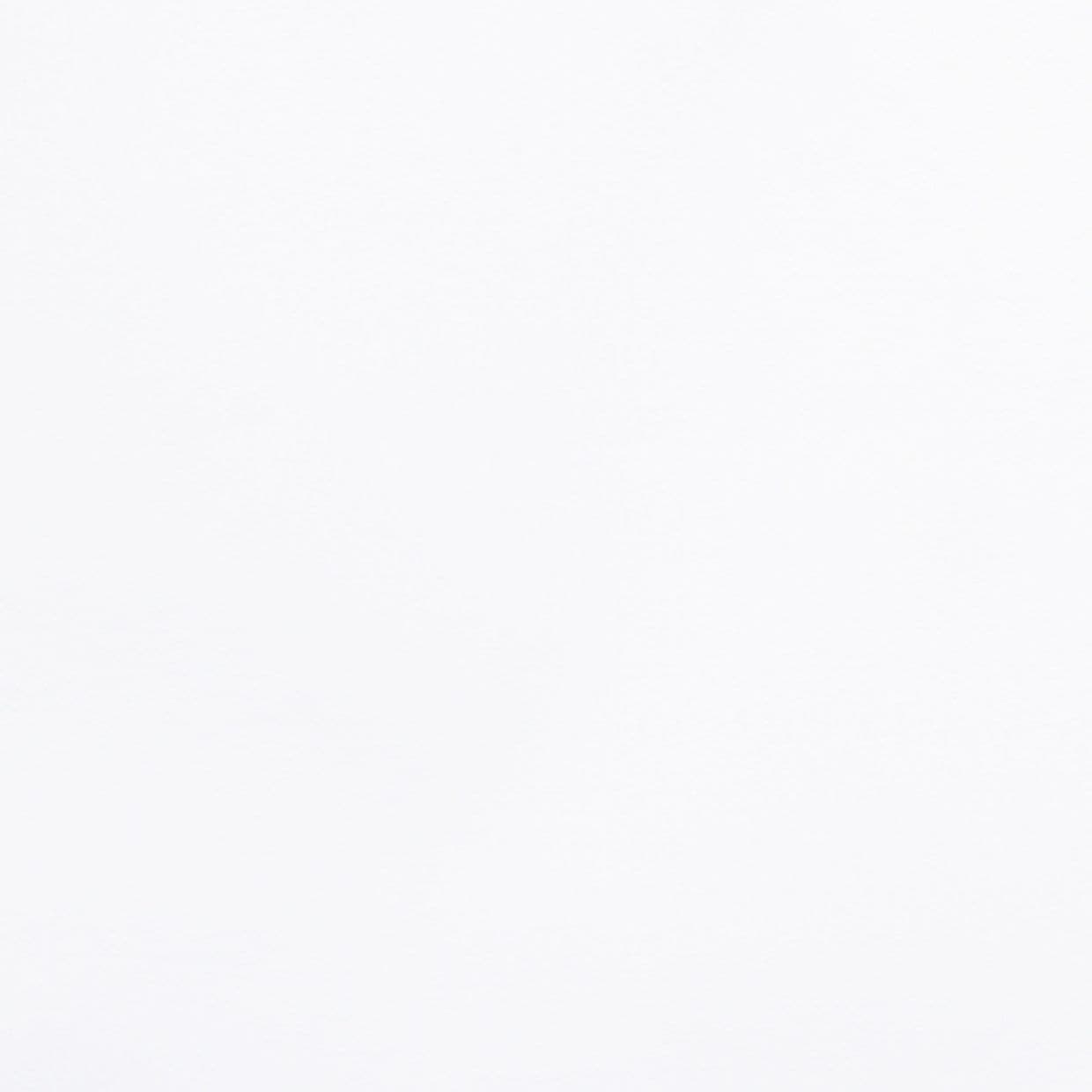 Acacia White Roller Blind