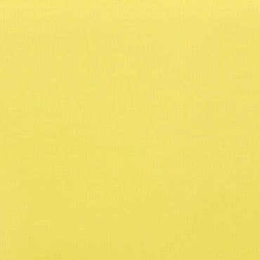 Acacia Chartreuse Conservatory Vertical Blind