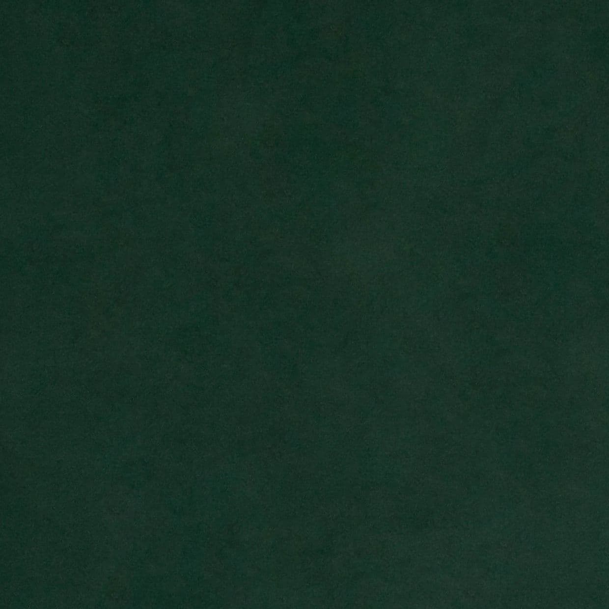 Darcia Velvet Emerald Curtain