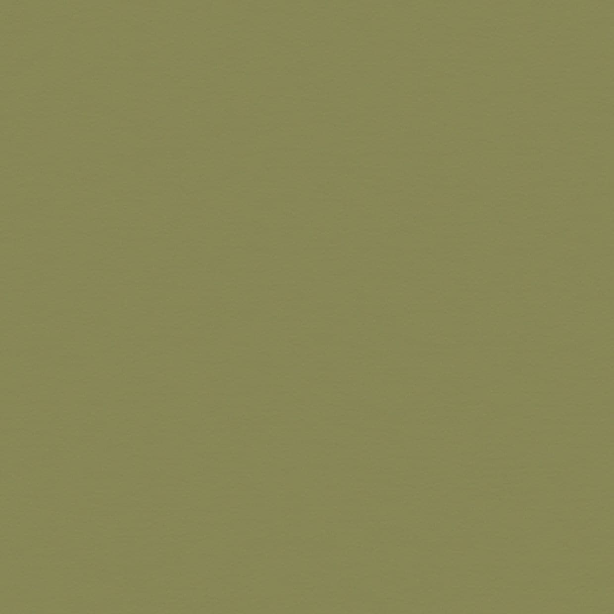 Cordova Pesto Roller Blind