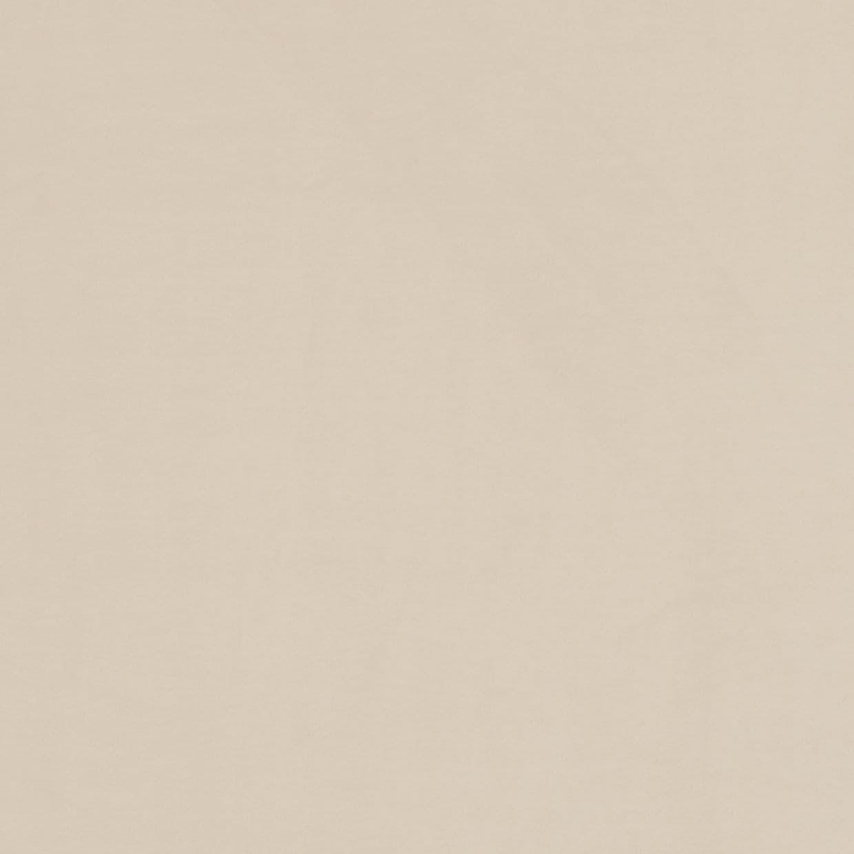 Darcia Velvet Taupe Curtain