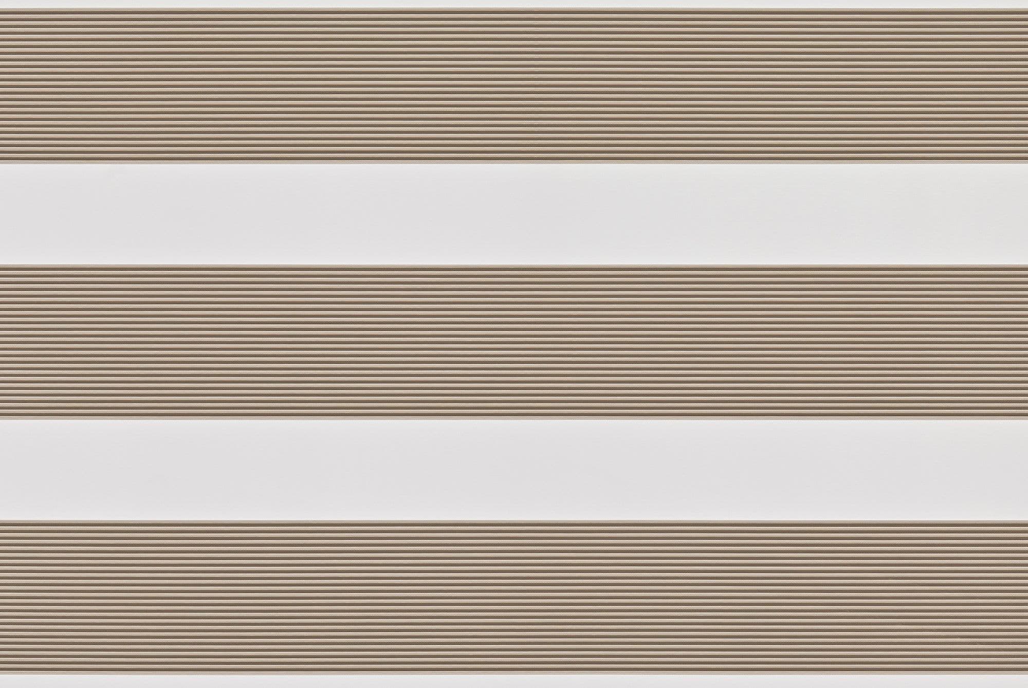 Awaken Beige Day and Night Blind
