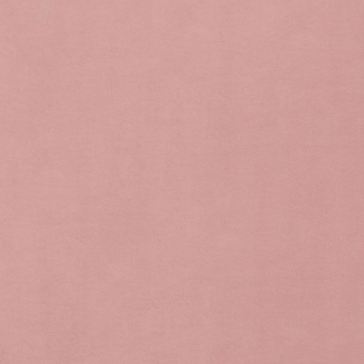 Darcia Velvet Rose Curtain