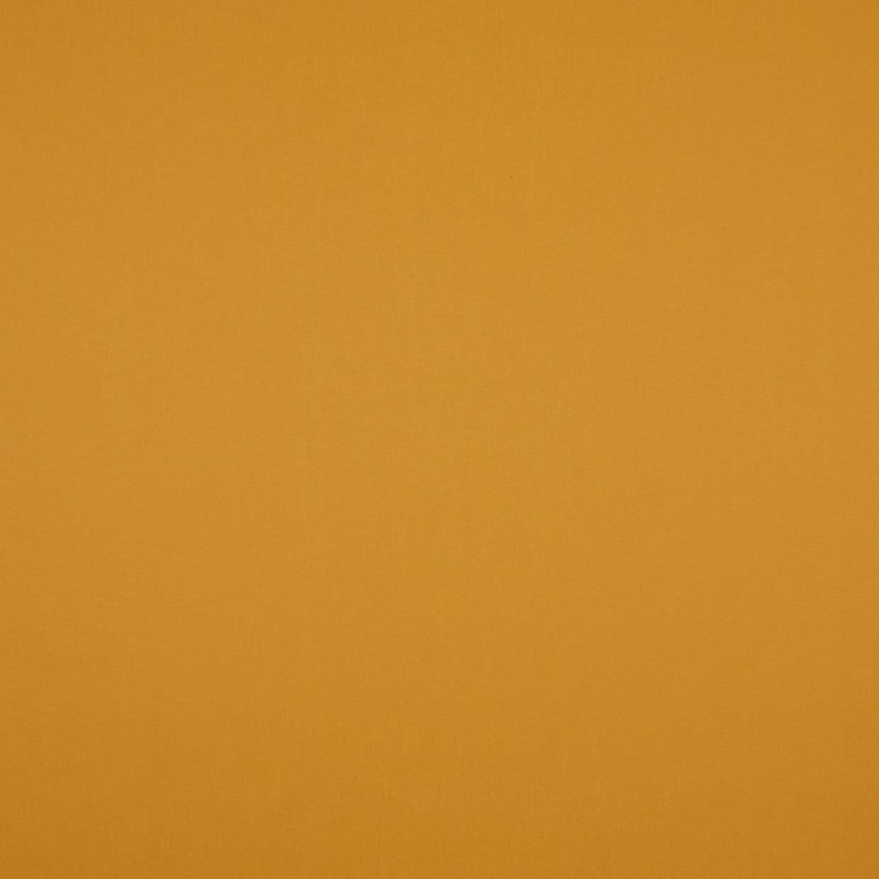 Acacia Butterscotch Roller Blind