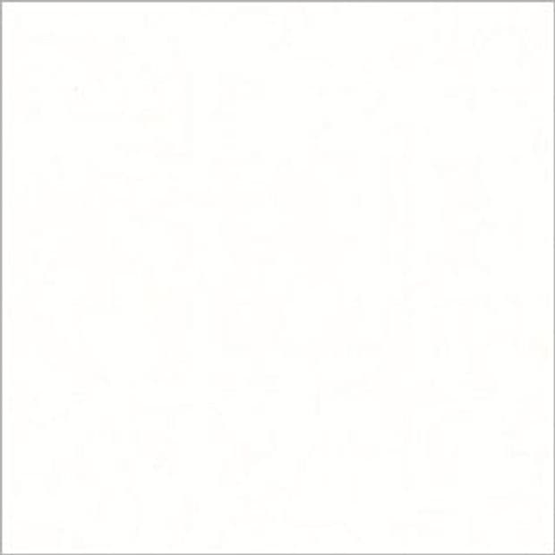 Silk White Shutter